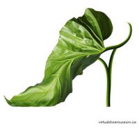 Février - Pourquoi des antioxydants?