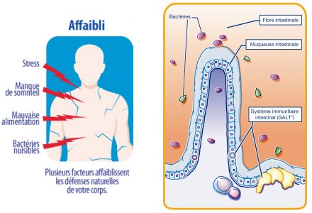 Are you immunized against winter illnesses?
