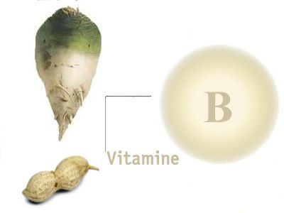 Vitamin B