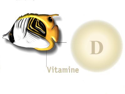 Vitamine D