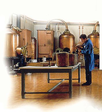 Les procédés de fabrication du Parfum