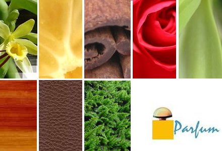 les grandes familles olfactives