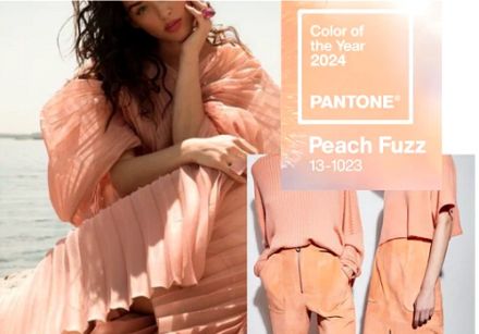 La couleur Pantone déclarée couleur de l'année 2024 est... Peach Fuzz