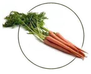Carrots, our allies for a healthy complexion