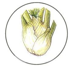 Beauty… naturally!