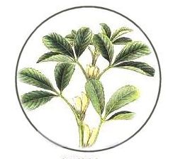 Beauty… naturally!