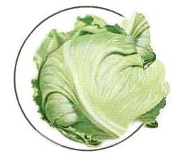 Benefits of lettuce
