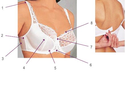 Dossier soutien-gorge - Prête pour l'essayage?