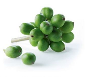 Les bienfaits du café vert