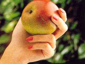 Healthy Nails, Healthy Diet