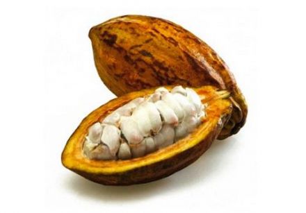 Cacao