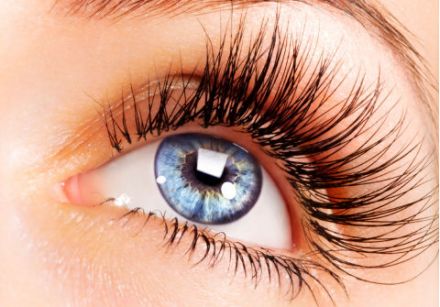 The different types of eyelashes in the world