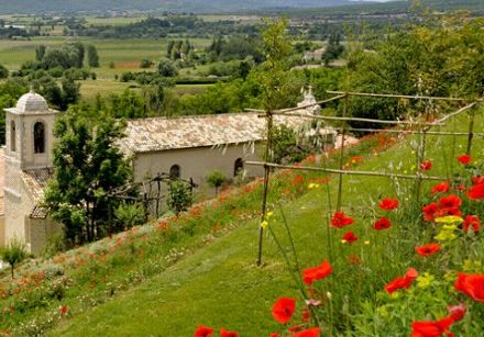 Orange Blossom by The Couvent des Minimes 1