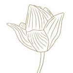 Nilang (2011 – lotus flower) 3