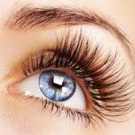 The different types of eyelashes in the world 1