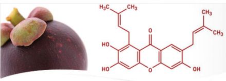2017 - 03 - When mangosteen extract tackle your cellulite 3