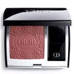Holiday Look by Christian Dior 2