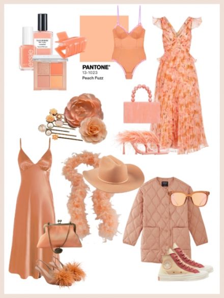 The Pantone's color of the year 2024 is... Peach Fuzz 1